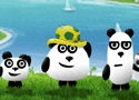 3 Pandas in Brazil Games