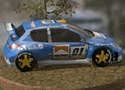 3D Rally Fever Games