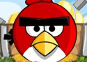 Angry Birds Find Your Partner Games