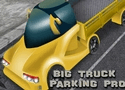 Big Truck Parking Pro Games