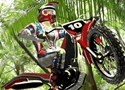 Bike Mania Reborn Games