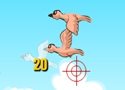 Bird Shooting Games