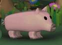 Conan The Mighty Pig Games