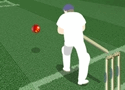 Cricket Challenge Games