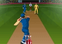 Cricket Pinch Hitter Games