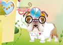 Dr. Bulldogs Pet Hospital Game