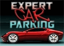 Expert Car Parking Games