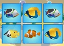 Fish Freedom Games