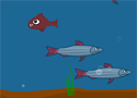 Fish Day Game