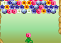 Flower Power Game