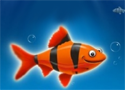 Franky the Fish 1 Game