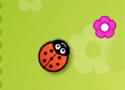 Lady bugs Game