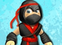 Ninja Gravity Adventure Games