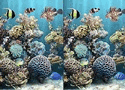 Sea Bubbles 5 Differences Games