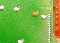 Sheep Shepherd Game