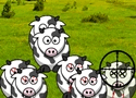 Shoot The Killer Cows Games