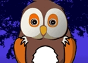Successful Owl Games