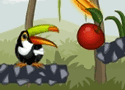 Toucan In The Jungle Games