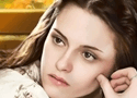 Twilight Celebrity Puzzle Games