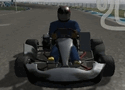 Wild Kart Games